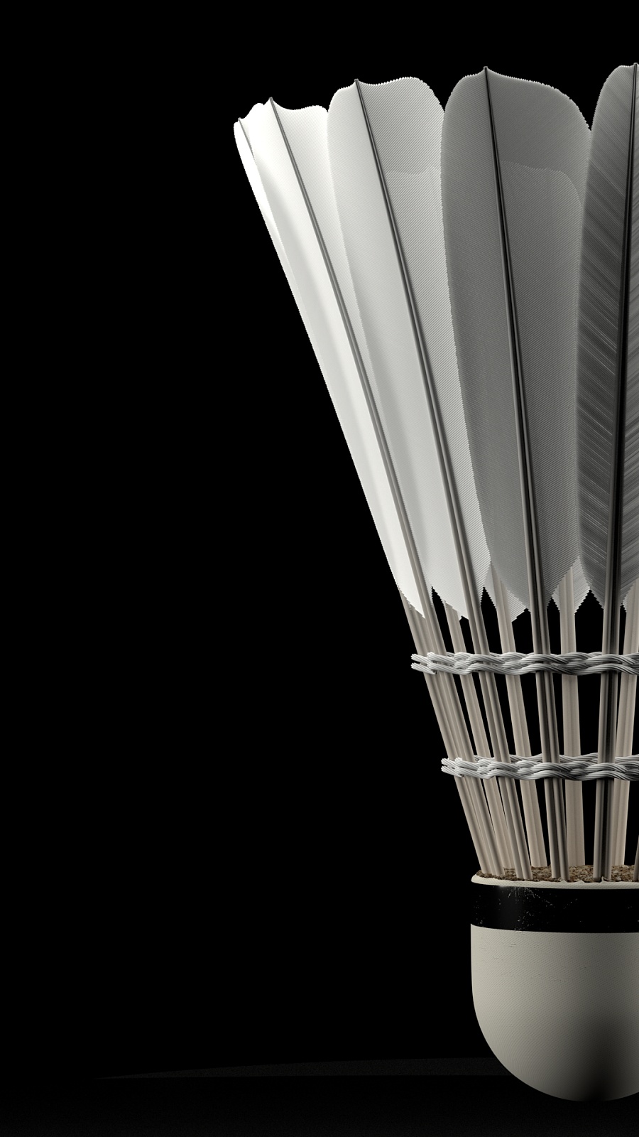 与市场规律 与市场规律