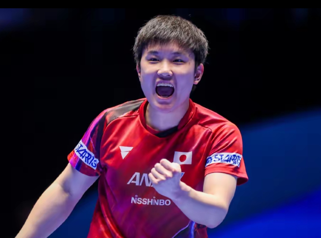 双向选择的 双向选择的